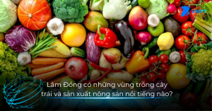 Lâm Đồng có những vùng trồng cây trái và sản xuất nông sản nổi tiếng nào