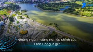 Những ngành công nghiệp chính của Lâm Đồng là gì