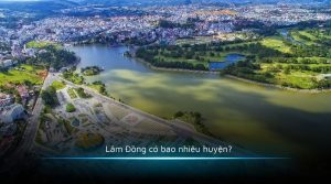 Lâm Đồng có bao nhiêu huyện