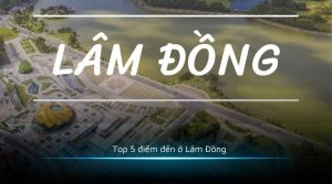 Top 10 điểm đến ở Lâm Đồng