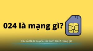 Đầu số 0247 có phải lừa đảo 0247 mạng gì